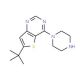 6-t-Butyl-4-piperazinothieno[3,2-d]pyrimidine (CAS 683274-69-3) - chemical structure image