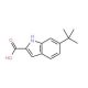 6-tert-butyl-1H-indole-2-carboxylic acid - chemical structure image