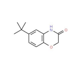 6-(tert-Butyl)-2H-1,4-benzoxazin-3(4H)-one (CAS 6238-96-6) - chemical structure image