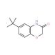 6-(tert-Butyl)-2H-1,4-benzoxazin-3(4H)-one (CAS 6238-96-6) - chemical structure image