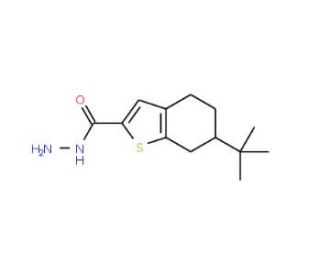 6-tert-Butyl-4,5,6,7-tetrahydro-1-benzothiophene-2-carbohydrazide - chemical structure image