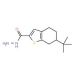 6-tert-Butyl-4,5,6,7-tetrahydro-1-benzothiophene-2-carbohydrazide - chemical structure image