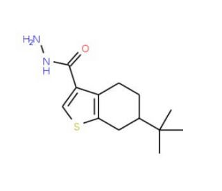 6-tert-Butyl-4,5,6,7-tetrahydro-1-benzothiophene-3-carbohydrazide - chemical structure image