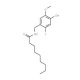 6′-Iodononivamide (CAS 859171-97-4) - chemical structure image