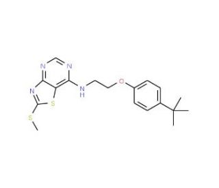 7-[2-(4-tert.-Butylphenoxy)ethylamino]-2-(methylthio)thiazolo[4,5-d]pyrimidine - chemical structure image
