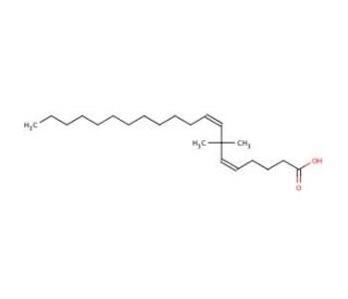 7,7-Dimethyleicosadienoic Acid (DEDA) (CAS 89560-01-0) - chemical structure image