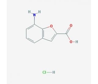 7-amino-1-benzofuran-2-carboxylic acid hydrochloride - chemical structure image