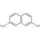 Estrutura molecular do 7-amino-2-naphthol, Número CAS: 93-36-7 7-amino-2-naphthol (CAS 93-36-7) - chemical structure image