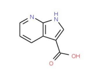 7-Azaindole-3-carboxylic acid | CAS 156270-06-3 | SCBT - Santa Cruz ...