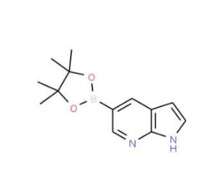 7-Azaindole-5-boronic acid pinacol ester (CAS 754214-56-7) - chemical structure image
