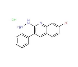 7-Bromo-2-hydrazino-3-phenylquinoline hydrochloride (CAS 1170117-00-6) - chemical structure image