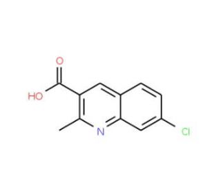 7-Chloro-2-methyl-quinoline-3-carboxylic acid (CAS 171270-39-6) - chemical structure image