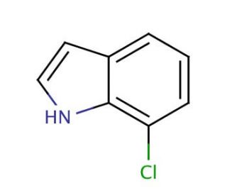7-Chloroindole (CAS 53924-05-3) - chemical structure image