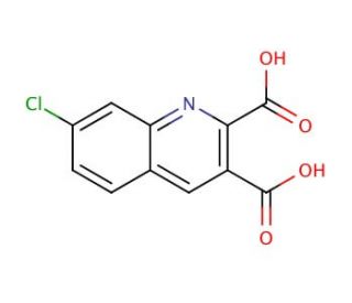 7-Chloroquinoline-2,3-dicarboxylic acid (CAS 892874-52-1) - chemical structure image