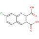 7-Chloroquinoline-2,3-dicarboxylic acid (CAS 892874-52-1) - chemical structure image