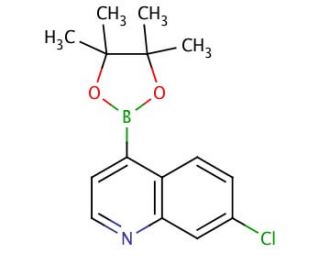 7-Chloroquinoline-4-boronic acid pinacol ester (CAS 871125-83-6) - chemical structure image