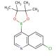 7-Chloroquinoline-4-boronic acid pinacol ester (CAS 871125-83-6) - chemical structure image