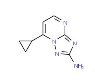 7-Cyclopropyl[1,2,4]triazolo[1,5-a]pyrimidin-2-amine (CAS 885949-41-7) - chemical structure image