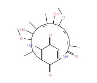 7-Descarbamoyl 17-Amino Geldanamycin (CAS 169564-26-5) - chemical structure image