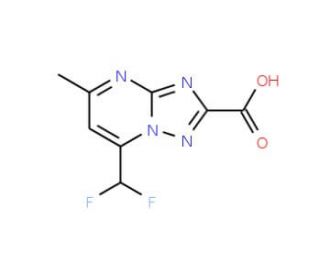 7-Difluoromethyl-5-methyl-[1,2,4]triazolo-[1,5-a]pyrimidine-2-carboxylic acid (CAS 445025-82-1) - chemical structure image
