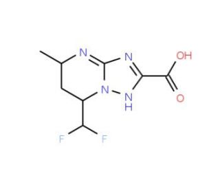 7-(Difluoromethyl)-5-methyl-4,5,6,7-tetrahydro-[1,2,4]triazolo[1,5-a]pyrimidine-2-carboxylic acid - chemical structure image