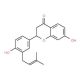 7-Hydroxy-2-[4-hydroxy-3-(3-methyl-but-2-enyl)-phenyl]-chroman-4-one - chemical structure image