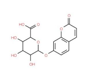 7-Hydroxy Coumarin-13C6 &beta;-D-Glucuronide - chemical structure image