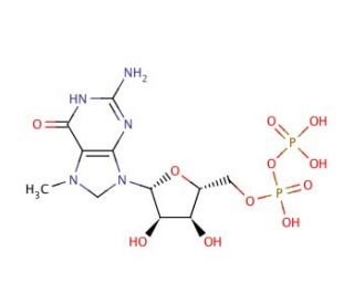 7-Methylguanosine 5&prime;-diphosphate sodium salt (CAS 104809-16-7) - chemical structure image
