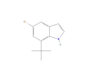 7-tert-Butyl-5-bromo-1H-indole (CAS 1219832-07-1) - chemical structure image