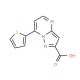 7-Thiophen-2-yl-pyrazolo[1,5-a]pyrimidine-2-carboxylic acid - chemical structure image