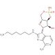 8-(6-Aminohexyl)aminoadenosine 3′:5′-cyclic monophosphate (CAS 39824-30-1) - chemical structure image