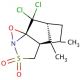 (−)-(8,8-Dichlorocamphorylsulfonyl)oxaziridine (CAS 139628-16-3) - chemical structure image