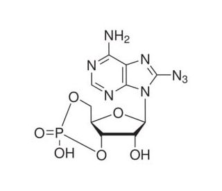 8-Azidoadenosine 3&prime;:5&prime;-cyclic monophosphate (CAS 31966-52-6) - chemical structure image