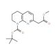 (8-Boc-5,6,7,8-Tetrahydro-[1,8]naphthyridin-2-yl)-acetic acid methyl ester (CAS 925889-81-2) - chemical structure image