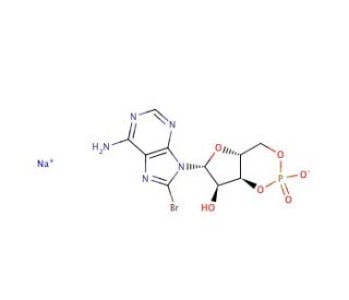 8-Bromo-cAMP (CAS 76939-46-3) - chemical structure image