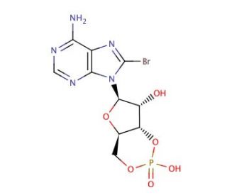 8-Bromoadenosine 3&prime;,5&prime;-cyclic monophosphate (CAS 76939-46-3) - chemical structure image