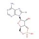 8-Bromoadenosine 3′,5′-cyclic monophosphate (CAS 76939-46-3) - chemical structure image