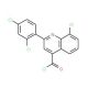 8-chloro-2-(2,4-dichlorophenyl)quinoline-4-carbonyl chloride - chemical structure image