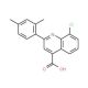 8-Chloro-2-(2,4-dimethylphenyl)quinoline-4-carboxylic acid - chemical structure image