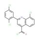 8-chloro-2-(2,5-dichlorophenyl)quinoline-4-carbonyl chloride - chemical structure image