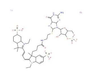 8-DY547-cGMP - chemical structure image