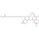 8-Ethoxycarbonyloctyl N,N′-Diacetyl-β-chitobioside - chemical structure image