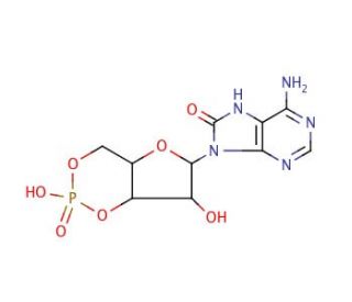 8-Hydroxyadenosine 3&prime;:5&prime;-cyclic monophosphate (CAS 31356-95-3) - chemical structure image