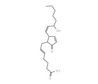 8-iso Prostaglandin A<sub>2</sub> (CAS 474391-66-7) - chemical structure image