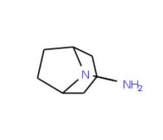 8-Methyl-8-azabicyclo[3.2.1]octan-3-amine (CAS 98998-25-5) - chemical structure image