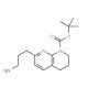8-N-Boc-5,6,7,8-Tetrahydro-1,8-Naphthyridin-2-propylamine (CAS 886362-44-3) - chemical structure image