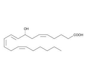 8(R)-HETE (CAS 105500-09-2) - chemical structure image