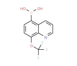 8-Trifluoromethoxyquinoline-5-boronic acid (CAS 1072951-46-2) - chemical structure image