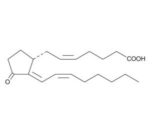 9,10-dihydro-15-deoxy-&Delta;<sup>12,14</sup>-Prostaglandin J<sub>2</sub> (CAS 596104-94-8) - chemical structure image