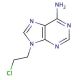 9-(2-Chloro-ethyl)-9H-purin-6-ylamine (CAS 19255-48-2) - chemical structure image